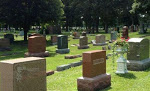 Interment Fellows